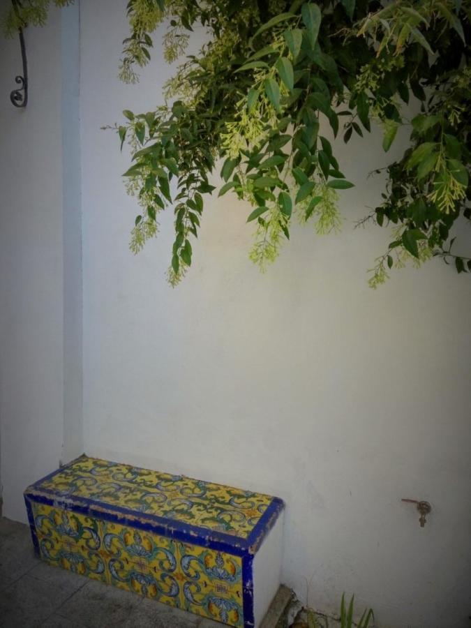 Apartment Alacas Sevilla Εξωτερικό φωτογραφία