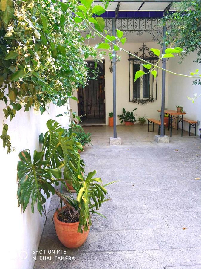 Apartment Alacas Sevilla Εξωτερικό φωτογραφία