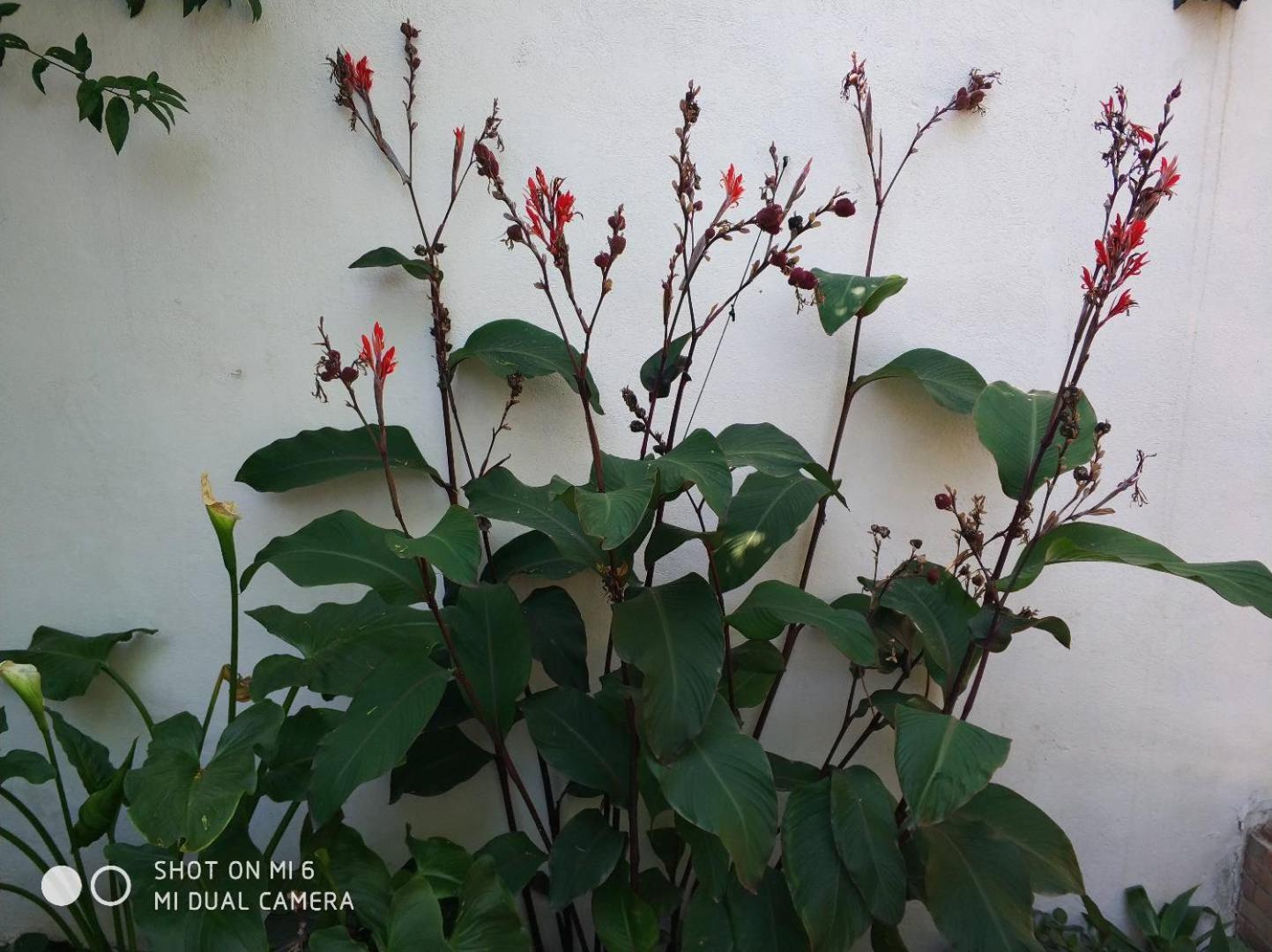 Apartment Alacas Sevilla Εξωτερικό φωτογραφία