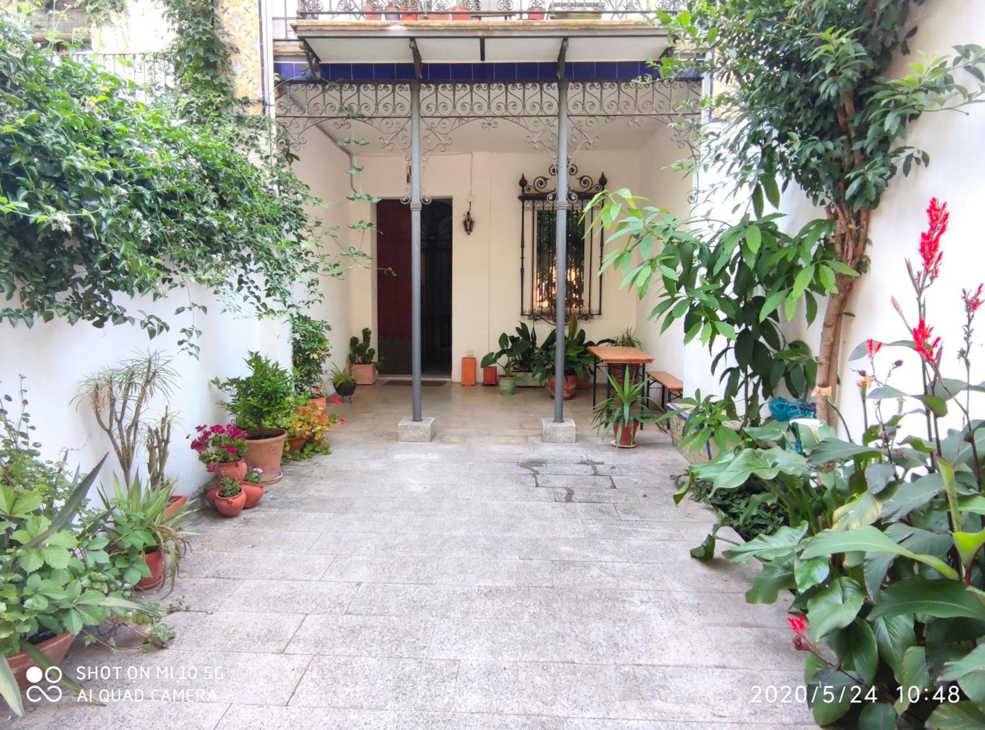 Apartment Alacas Sevilla Εξωτερικό φωτογραφία